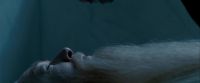 Potterish-RdMTrailerParte1-118.jpg