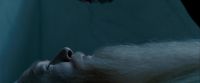 Potterish-RdMTrailerParte1-119.jpg