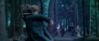 Potterish-RdMTrailerParte1-1197.jpg