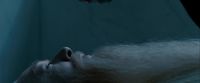 Potterish-RdMTrailerParte1-120.jpg