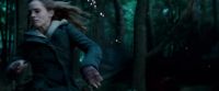 Potterish-RdMTrailerParte1-1201.jpg