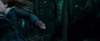 Potterish-RdMTrailerParte1-1203.jpg