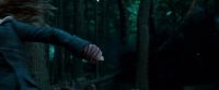 Potterish-RdMTrailerParte1-1204.jpg