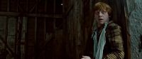 Potterish-RdMTrailerParte1-1216.jpg