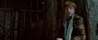 Potterish-RdMTrailerParte1-1217.jpg