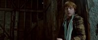 Potterish-RdMTrailerParte1-1218.jpg