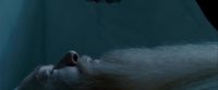 Potterish-RdMTrailerParte1-121~0.jpg