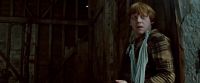 Potterish-RdMTrailerParte1-1221.jpg