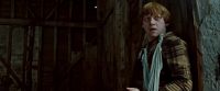 Potterish-RdMTrailerParte1-1223.jpg