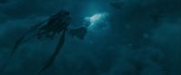 Potterish-RdMTrailerParte1-1243.jpg