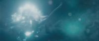 Potterish-RdMTrailerParte1-1259.jpg