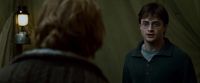 Potterish-RdMTrailerParte1-1319.jpg