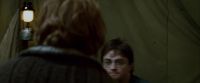Potterish-RdMTrailerParte1-1327.jpg