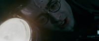 Potterish-RdMTrailerParte1-1392~0.jpg