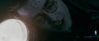Potterish-RdMTrailerParte1-1395.jpg