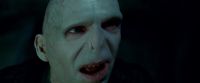 Potterish-RdMTrailerParte1-1409.jpg
