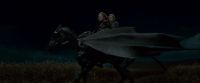Potterish-RdMTrailerParte1-1439.jpg