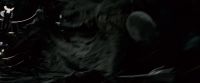 Potterish-RdMTrailerParte1-1467.jpg