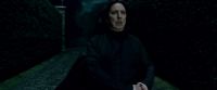 Potterish-RdMTrailerParte1-1476.jpg