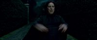 Potterish-RdMTrailerParte1-1479.jpg