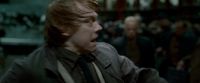 Potterish-RdMTrailerParte1-1488.jpg