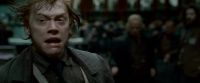 Potterish-RdMTrailerParte1-1495.jpg