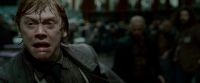 Potterish-RdMTrailerParte1-1500~0.jpg