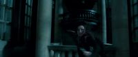 Potterish-RdMTrailerParte1-1503.jpg