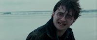 Potterish-RdMTrailerParte1-1594.jpg