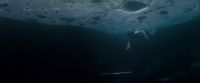 Potterish-RdMTrailerParte1-1647.jpg