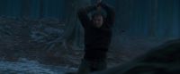 Potterish-RdMTrailerParte1-1663.jpg
