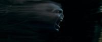 Potterish-RdMTrailerParte1-1705.jpg