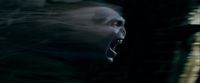 Potterish-RdMTrailerParte1-1707.jpg