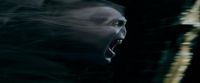 Potterish-RdMTrailerParte1-1709.jpg
