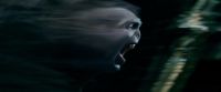 Potterish-RdMTrailerParte1-1711.jpg