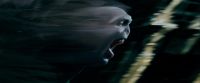 Potterish-RdMTrailerParte1-1713.jpg