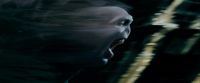 Potterish-RdMTrailerParte1-1714.jpg