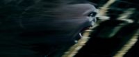 Potterish-RdMTrailerParte1-1717.jpg