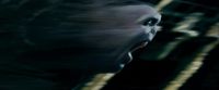 Potterish-RdMTrailerParte1-1718.jpg