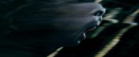 Potterish-RdMTrailerParte1-1720.jpg