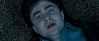 Potterish-RdMTrailerParte1-1734.jpg