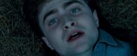 Potterish-RdMTrailerParte1-1745.jpg