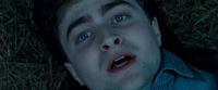 Potterish-RdMTrailerParte1-1751.jpg