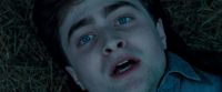 Potterish-RdMTrailerParte1-1754.jpg