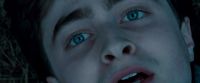 Potterish-RdMTrailerParte1-1756.jpg