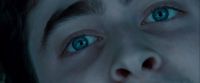 Potterish-RdMTrailerParte1-1757.jpg