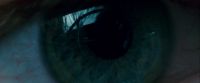 Potterish-RdMTrailerParte1-1760.jpg