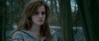 Potterish-RdMTrailerParte1-181.jpg