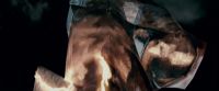 Potterish-RdMTrailerParte1-1843.jpg