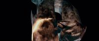 Potterish-RdMTrailerParte1-1850.jpg